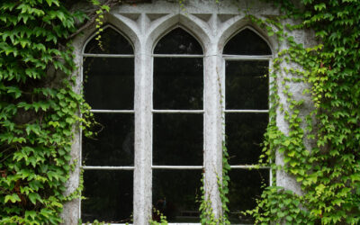 Spotlight on Heritage Register specialists: Creating the future by preserving the past