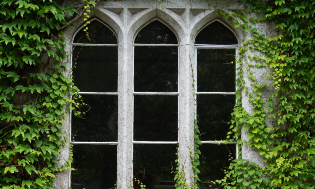 Spotlight on Heritage Register specialists: Creating the future by preserving the past