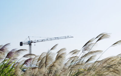 Spring 2026: Sustainability initiatives from the Construction Industry Federation membership