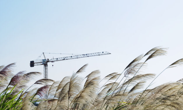 Spring 2026: Sustainability initiatives from the Construction Industry Federation membership